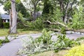 Broken Trees and electric wires covering residential street after Tropical Storm Isaias Royalty Free Stock Photo