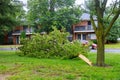 The broken trees after powerful hurricane storm damage Royalty Free Stock Photo