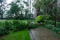 Broken trees after strong storm went through Royalty Free Stock Photo