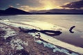 Broken branch traped in ice on frozen lake. Pond in snowy forest, close up. Frozen bubbles nad cracks in thick ice cover Royalty Free Stock Photo