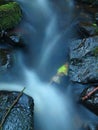 Broken twig on wet stone below increased water level.