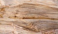 Broken uncut log, plank, wooden overlay background close-up, old wood texture. Royalty Free Stock Photo