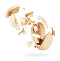 Broken walnut hovering in the air close-up, isolated on a white