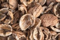 Broken walnut shells. Pieces of nutshells. Nutshell texture. Royalty Free Stock Photo