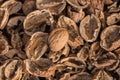 Cracked walnut shells with one complete walnut in the middle. Pieces of nutshells. Nutshell texture. Royalty Free Stock Photo