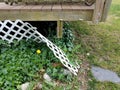 Broken white lattice fence on wood deck