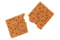 Broken whole grain crisp bread. Royalty Free Stock Photo