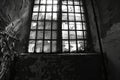 Broken window in an abandoned building. Black and white urban decay photography Royalty Free Stock Photo