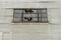 Broken window on corrugated iron building