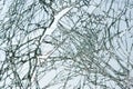 Broken windshield, sky in the background Royalty Free Stock Photo