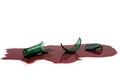 Broken wine bottle Royalty Free Stock Photo