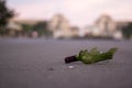 Broken wine bottle on the streets of Paris Royalty Free Stock Photo