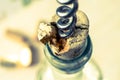 Broken wine cork Royalty Free Stock Photo