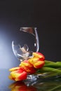 Broken Wineglass And Flowers