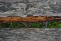 Broken wood in focus