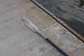 Broken wooden oar from a boat Royalty Free Stock Photo