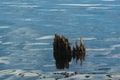 A broken wooden pillar Royalty Free Stock Photo