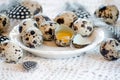 The broken yolk quail eggs on a plate and feathers