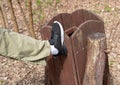 Broking Trash Bin by Vandal, Damaging Wooden Trash Can