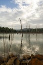 Brokopondostuwmeer reservoir seen from Ston EIland - Suriname Royalty Free Stock Photo