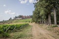 Brolio Castle and the nearby vineyards Royalty Free Stock Photo