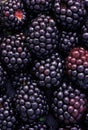 Brombeeren. Close up. Royalty Free Stock Photo