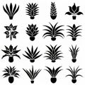 Bromeliad (Bromeliaceae genera) Pot Plant Icon Set, Bromeliaceae genera Plant Flat Design Royalty Free Stock Photo