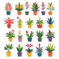 Bromeliad (Bromeliaceae genera) Pot Plant Icon Set, Bromeliaceae genera Plant Flat Design