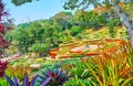 Bromeliad garden in Mae Fah Luang, Doi Tung, Thailand