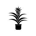 Bromeliad plants, silhouette of evergreen indoor plants with succulent flower and hard leaves, flower pot icon with flower Royalty Free Stock Photo