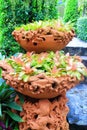 Bromeliad in sculpture Thai earthenware pot