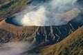 Bromo active volcano mountain crater in a morning, East Java, In