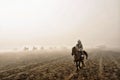 Bromo indonesia horse riding top of mountain cloud