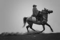 BROMO, INDONESIA - May 9 ,.2018. Unidentified local people or Bromo Horseman riding horse at the mountainside of Mount Bromo,