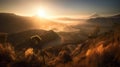 The Bromo mountains landscape during a heavy misty morning with a hint of golden hour is a stunning and atmospheric image that cap