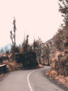 Bromo road Royalty Free Stock Photo