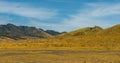 Bromo volcano mountain sawana