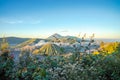 Bromo volcano at sunrise, East Java, , Indonesia with flower as foreground