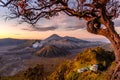 Bromo volcano during sunrise in Bromo Tengger Semeru National Park, East Java, Indonesia Royalty Free Stock Photo