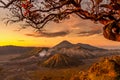 Bromo volcano during sunrise in Bromo Tengger Semeru National Park, East Java, Indonesia Royalty Free Stock Photo