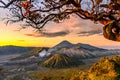 Bromo volcano during sunrise in Bromo Tengger Semeru National Park, East Java, Indonesia Royalty Free Stock Photo