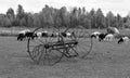 A hay tedder is a machine Royalty Free Stock Photo