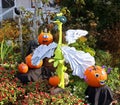 Pumpkins Scarecrow