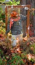 Scarecrow Les Epouvantables Bromont,