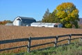 Soybean field