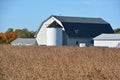 Soybean field