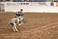 Bronc riding cowboy at the annual Abilene Fair grounds rodeo Royalty Free Stock Photo