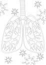 Bronchi or lungs as a respiratory organ, outline or linear vector stock illustration as a concept of pneumonia during a virus