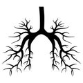 Bronchi of lungs black silhouette isolated on white background. Design element