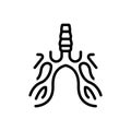 Black line icon for Bronchus, breath and chest